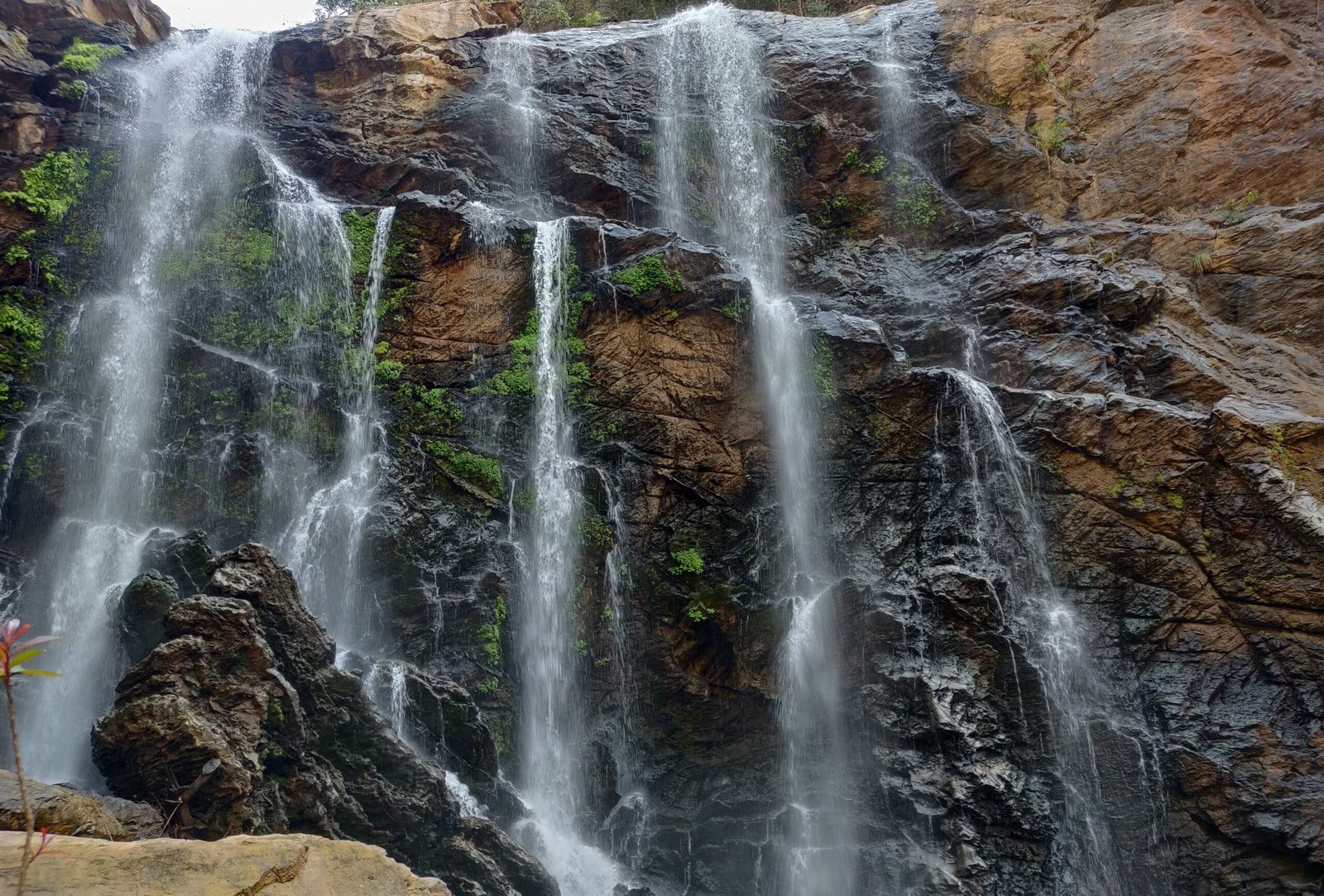 Dandeli Resort | Dandeli Resorts