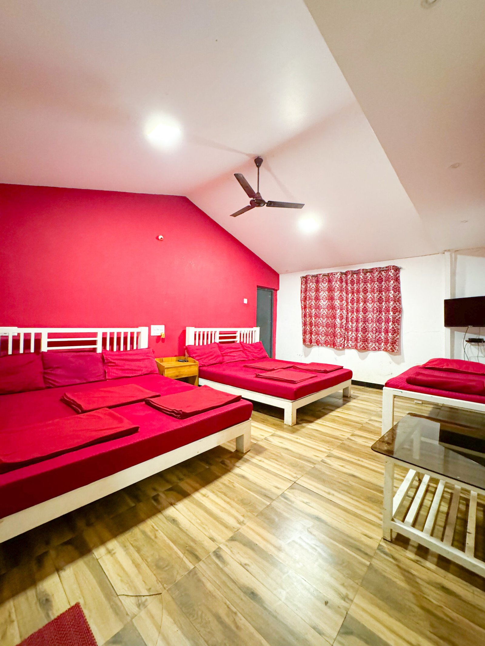 IMG_3801_20231208235105