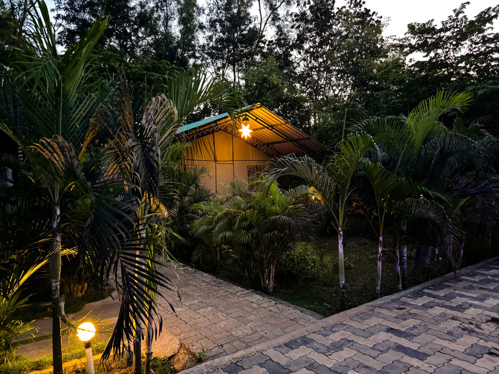 IMG_3825_20231208235058