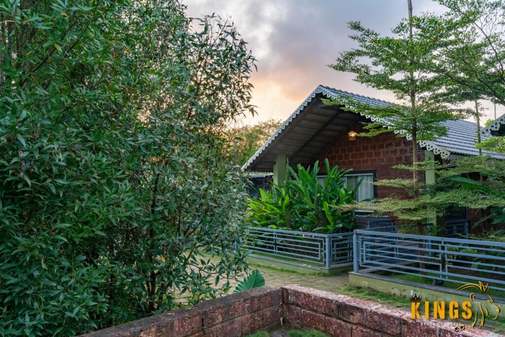 Dandeli Jungle Resort | Dandeli Resort | Dandeli Resorts | Dandeli River Resort