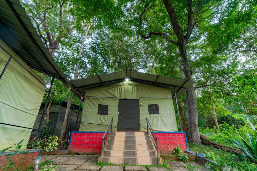 Dandeli Jungle Resort | Dandeli Resort | Dandeli Resorts | Dandeli River Resort