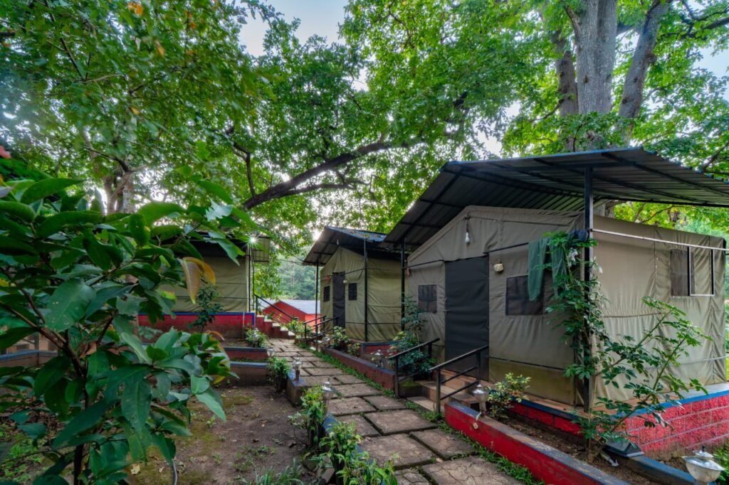 Dandeli Jungle Resort | Dandeli Resort | Dandeli Resorts | Dandeli River Resort